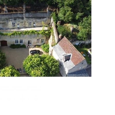 Maison Troglodyte Elegante Avec Spa, Salle De Jeux Et Jardin Clos A Vouvray - Fr-1-381-87 Экстерьер фото